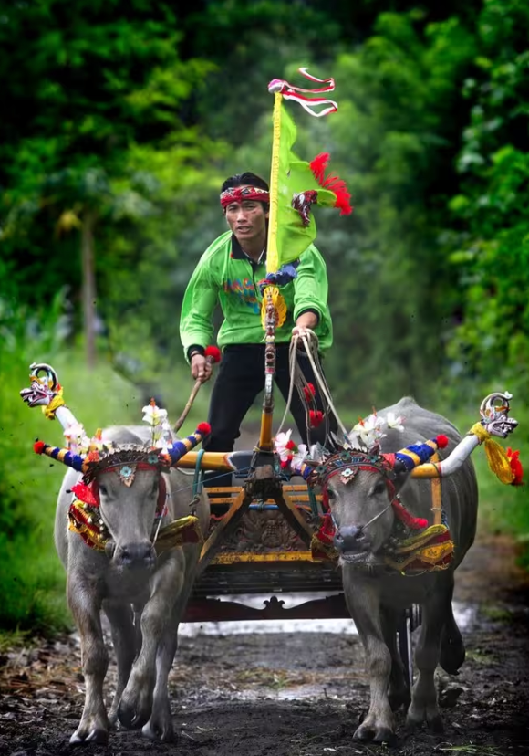 screenshot 2025 12 29 213734