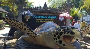 Kurma Asih: Daya Tarik Wisata Jembrana dan Kelestarian Biota Laut