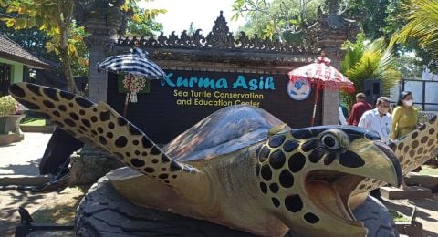 kurma asih jembrana